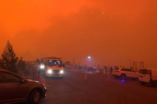 Australian sports fraternity gets behind bushfire relief efforts