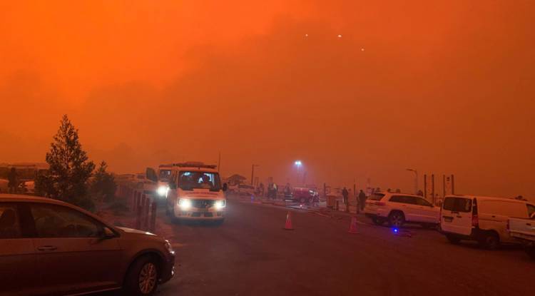 Australian sports fraternity gets behind bushfire relief efforts